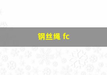 钢丝绳 fc